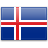 Icelandic translator and interpreter